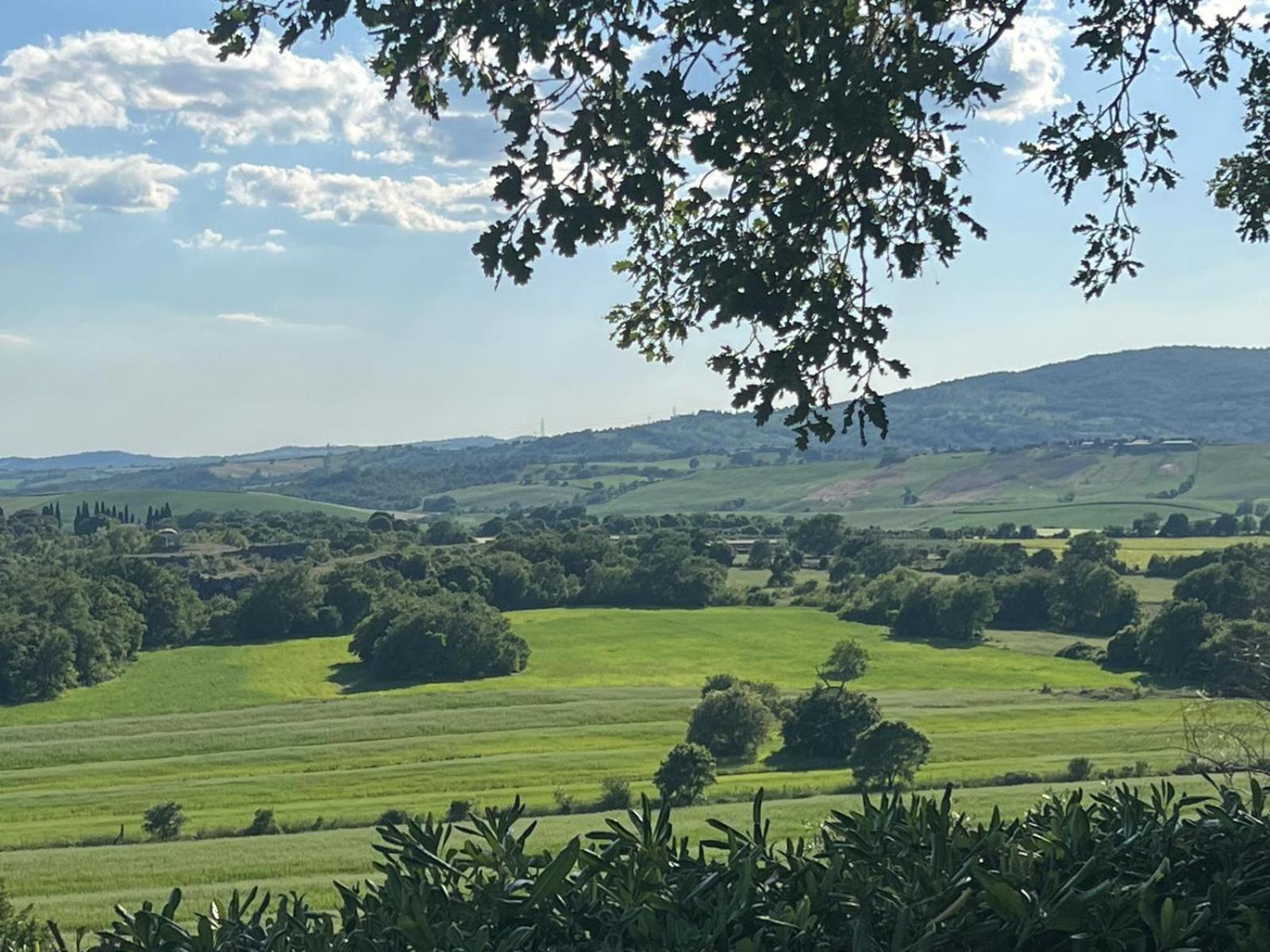 Agriturismo La Castellina Сатурния Экстерьер фото