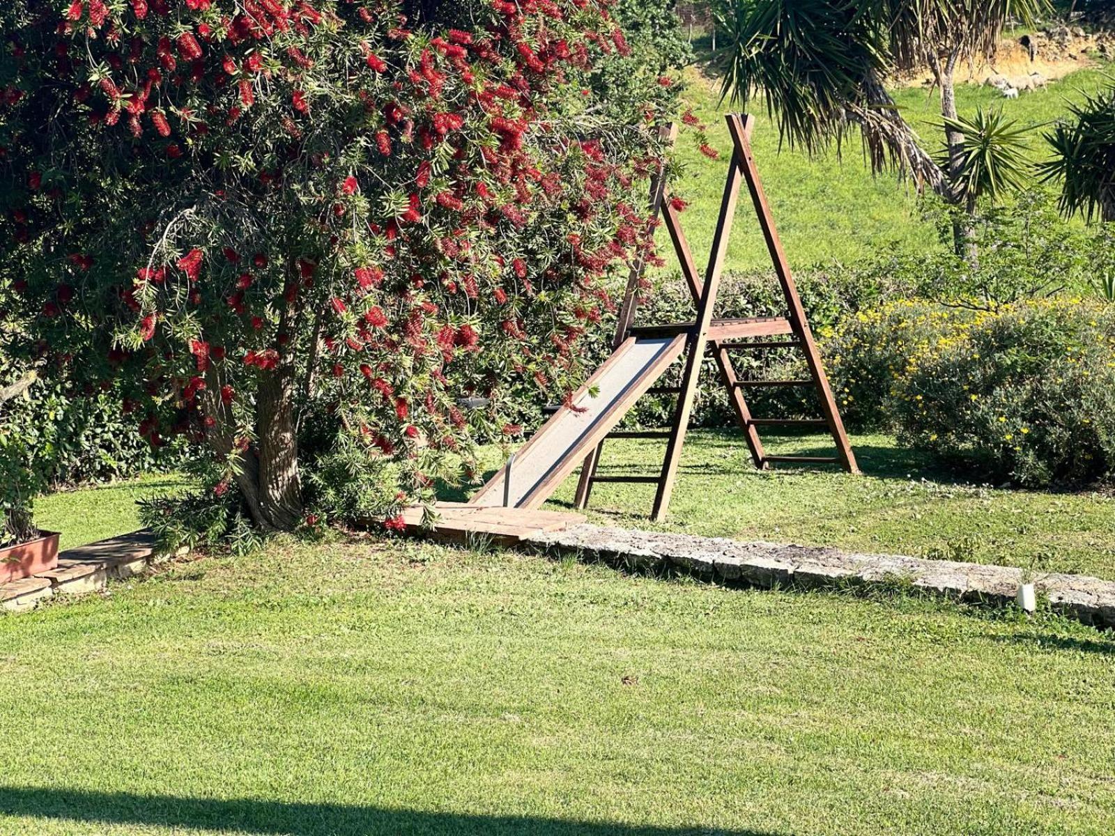 Agriturismo La Castellina Сатурния Экстерьер фото