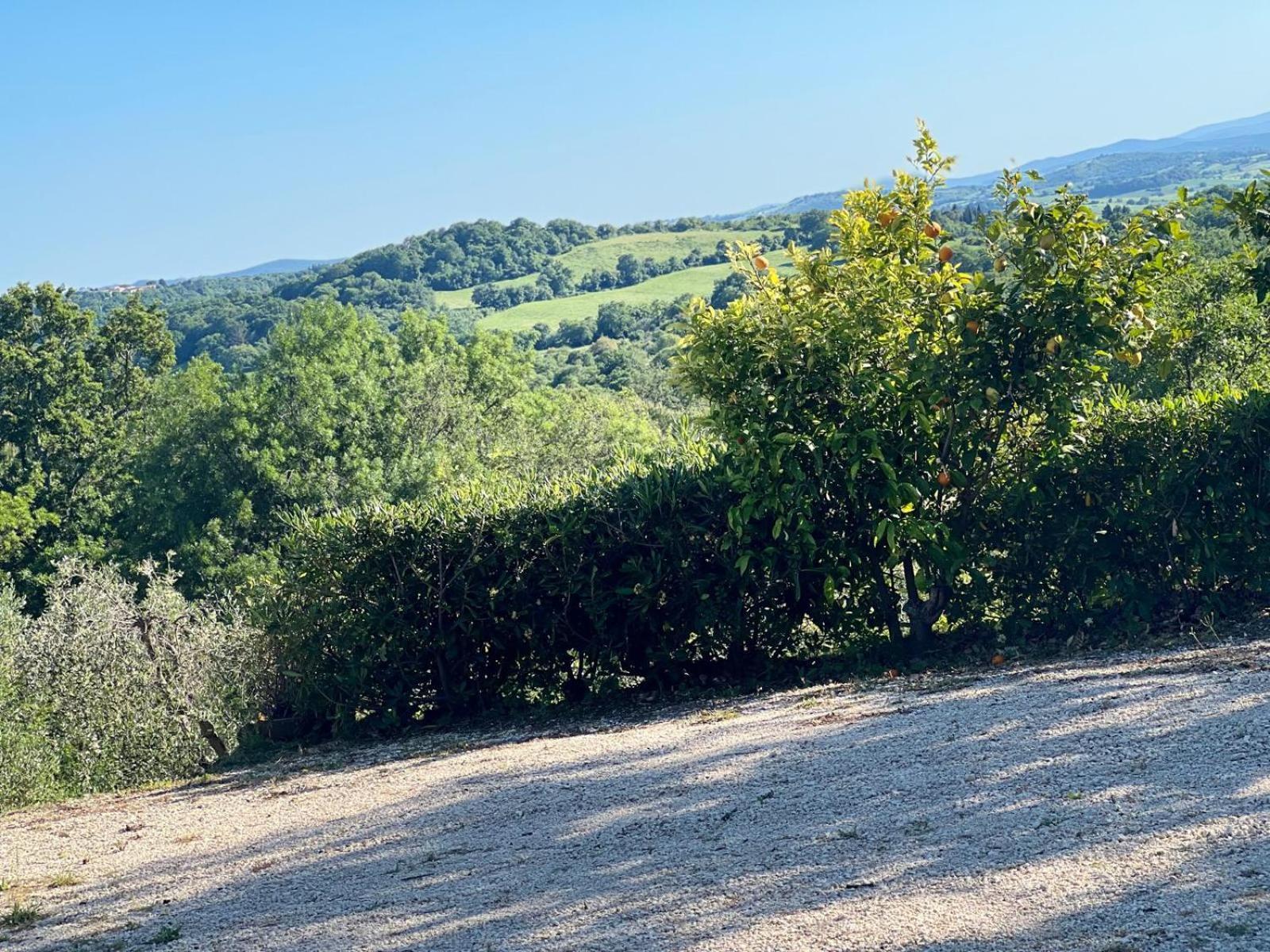 Agriturismo La Castellina Сатурния Экстерьер фото