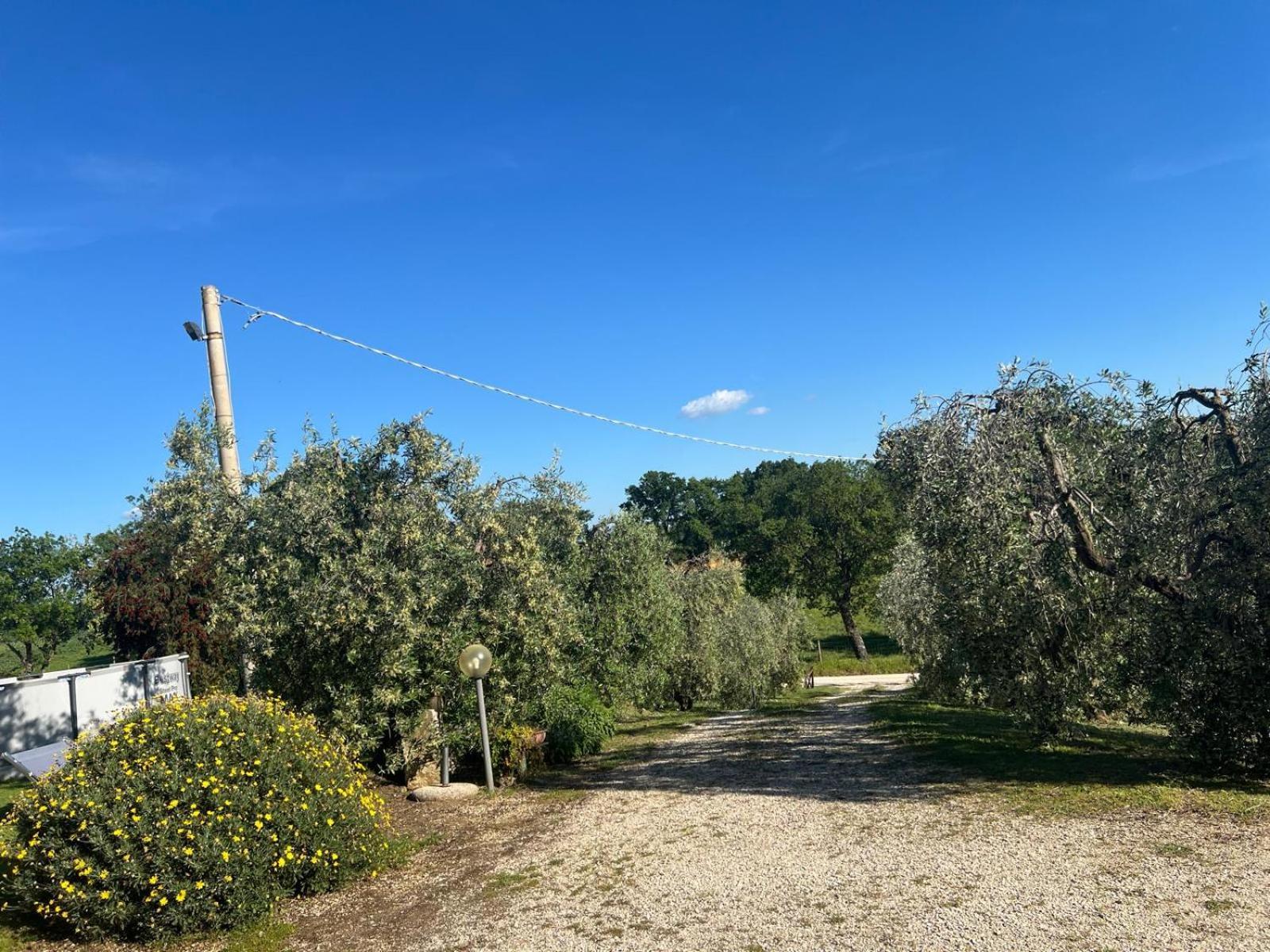 Agriturismo La Castellina Сатурния Экстерьер фото